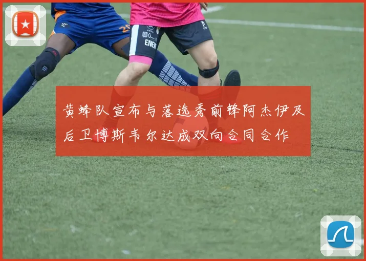 黄蜂队宣布与落选秀前锋阿杰伊及后卫博斯韦尔达成双向合同合作