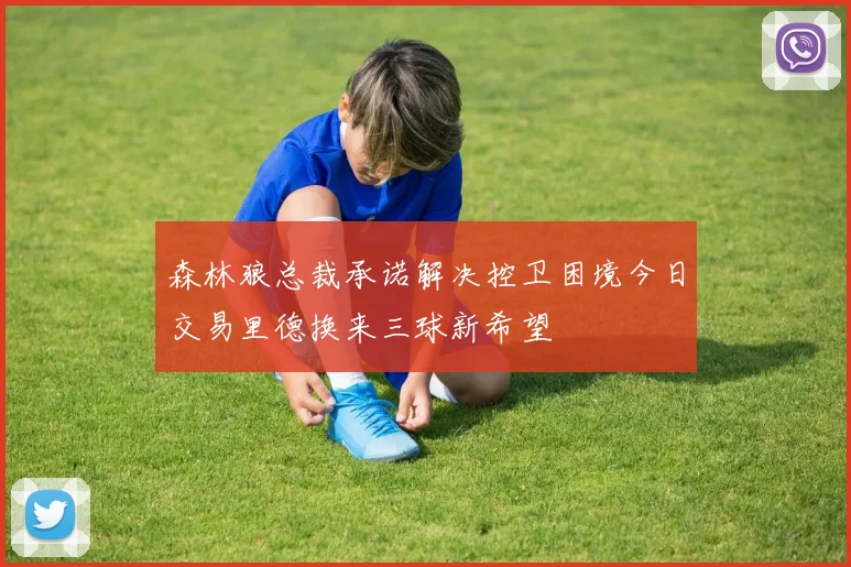 森林狼总裁承诺解决控卫困境今日交易里德换来三球新希望