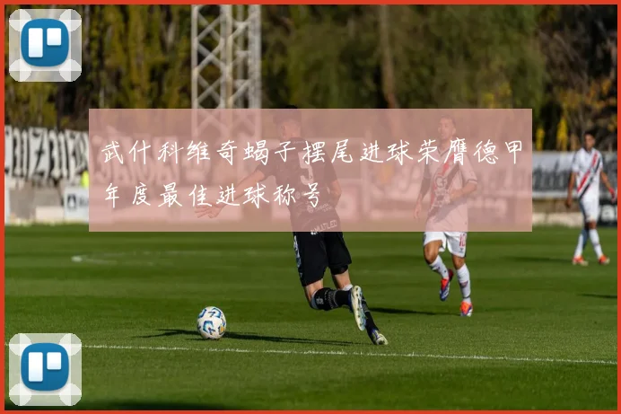 武什科维奇蝎子摆尾进球荣膺德甲年度最佳进球称号