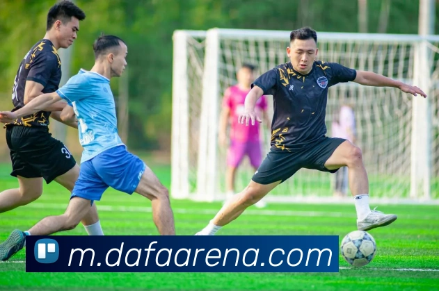 大发平台APP 封面图